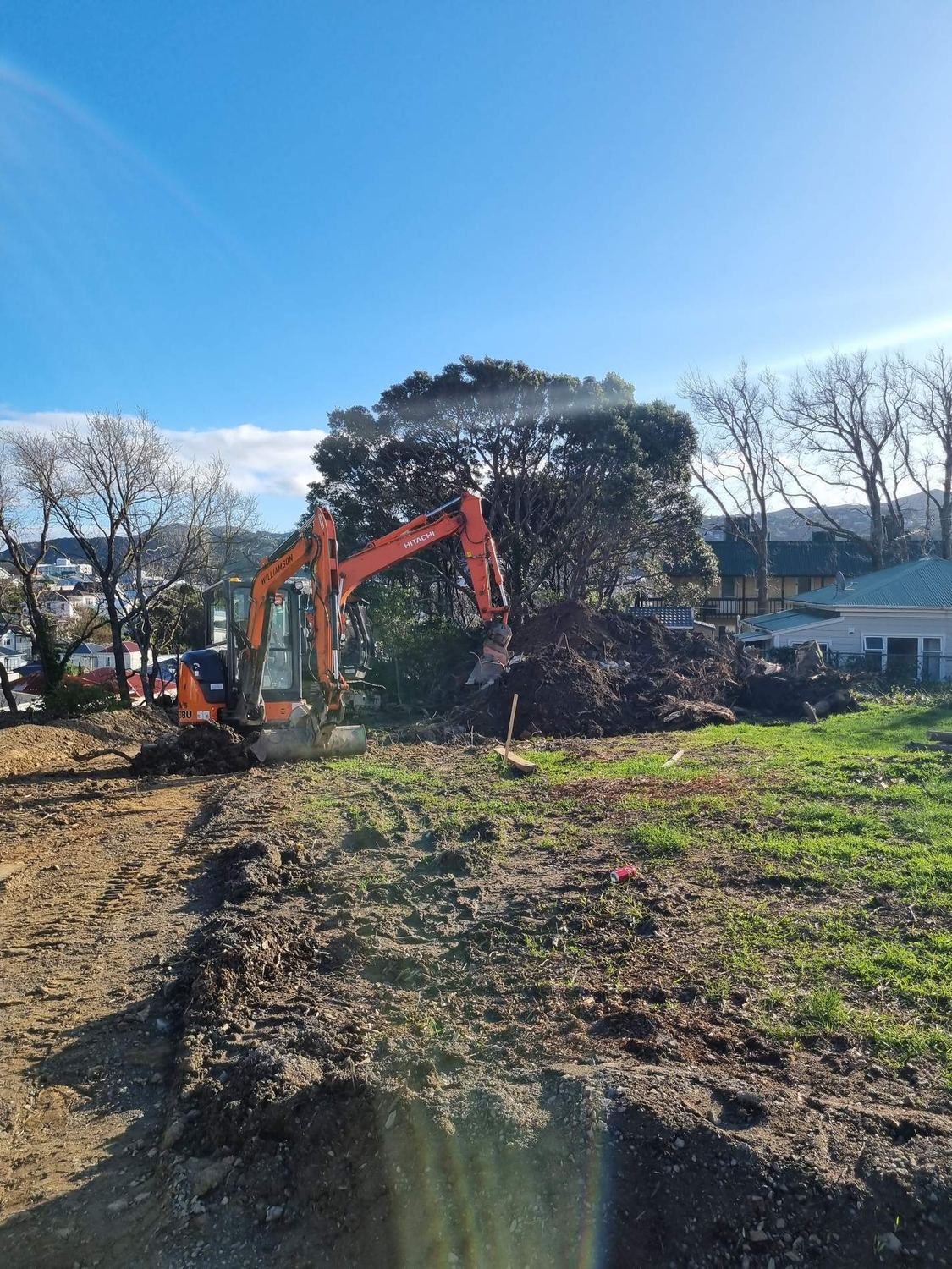 Excavator pulling out a large tree and stump on a residential section